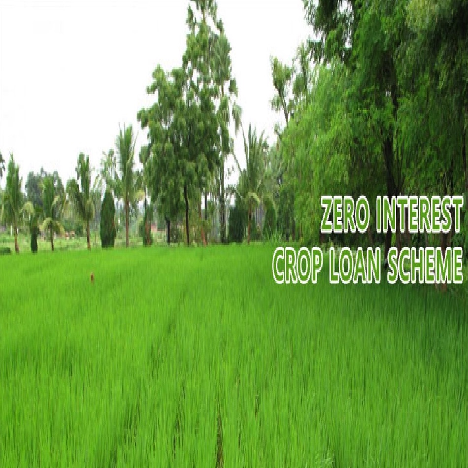 Assam Zero Interest Crop Loan Scheme